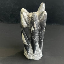Othoceras Standing Freeform Fossil Specimen