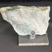 Malachite and Chrysocolla with Dendritic Agate Specimen