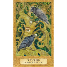 Chrysalis Tarot Deck and Book Set