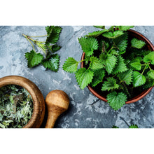 Nettle Leaf