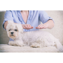 Reiki Level Three - Reiki Master/Teacher Training