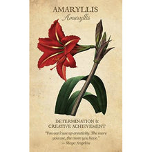 Botanical Inspirations Deck & Book Set
