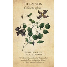 Botanical Inspirations Deck & Book Set