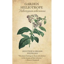 Botanical Inspirations Deck & Book Set
