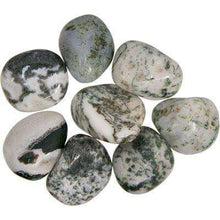 Natural Tumbled Crystals and Stones,Tree Agate